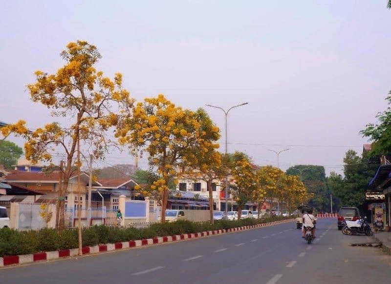 Myitkyina Travel Guide - Best time to visit - Booked ai