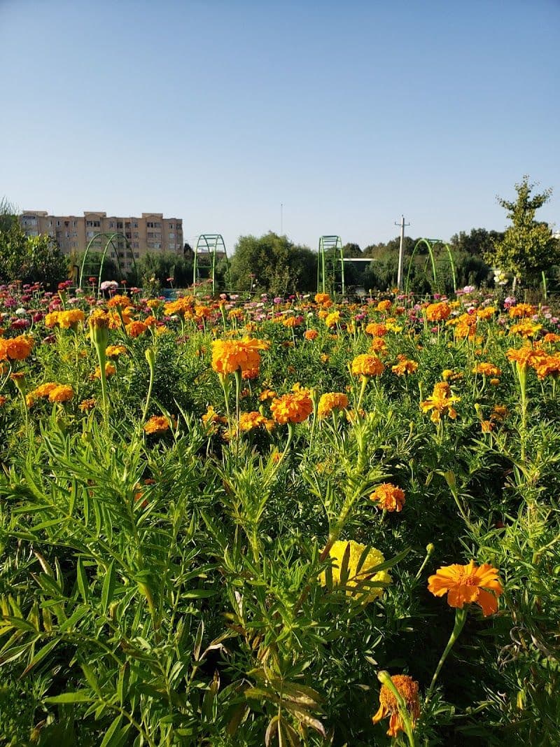Holiday in Urmia, Iran - Booked ai