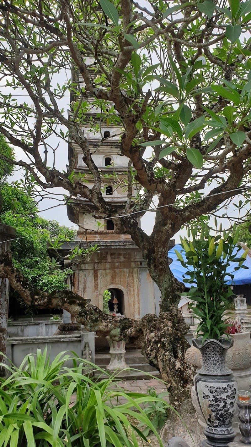 Nam Dinh Travel Guide - Best time to visit - Booked ai