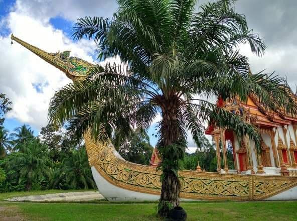 Nakhon Si Thammarat Travel Guide - Best time to visit - Booked ai