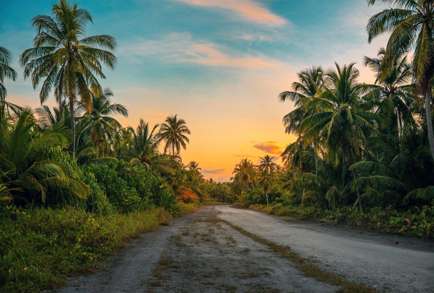 Our Top 5: The Best Hot Destinations In December