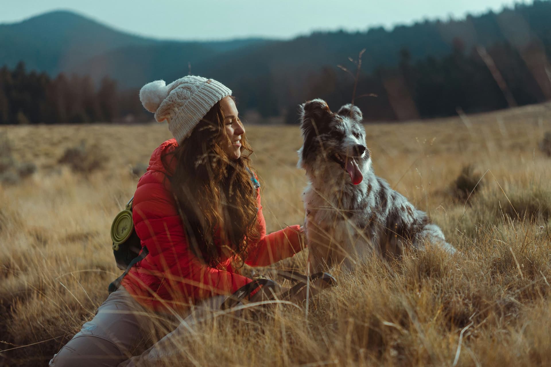 Pet-Friendly Travel Guide | Booked AI
