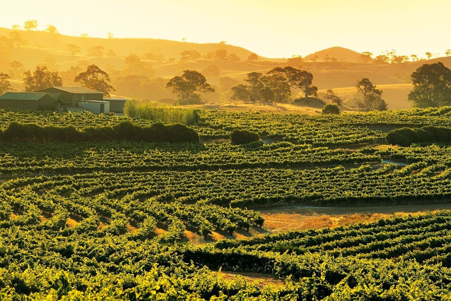 Top Highlights of South Australia