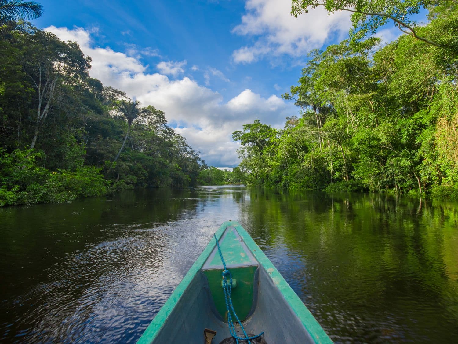 Must-See Highlights of the Peruvian Amazon