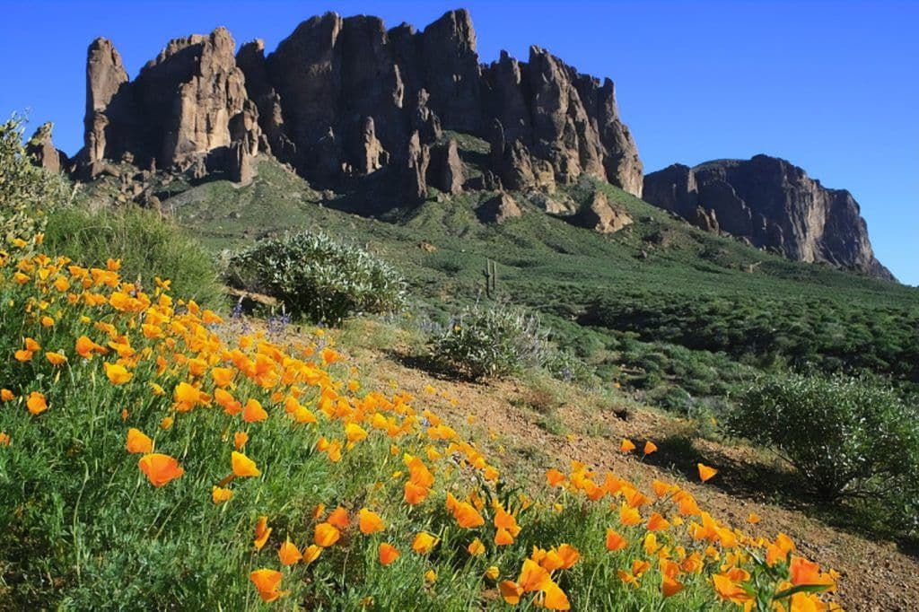 AI Flights to Explore Spring in Arizona