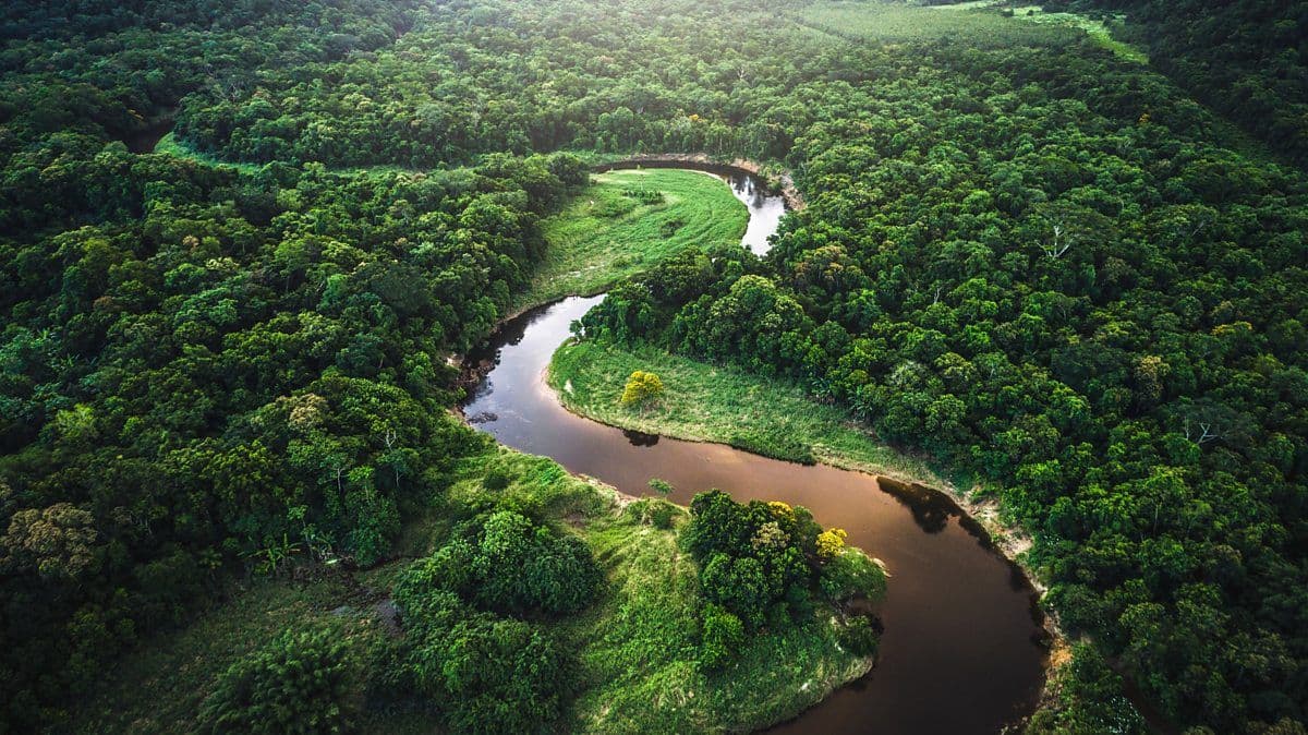 What to Expect in South America