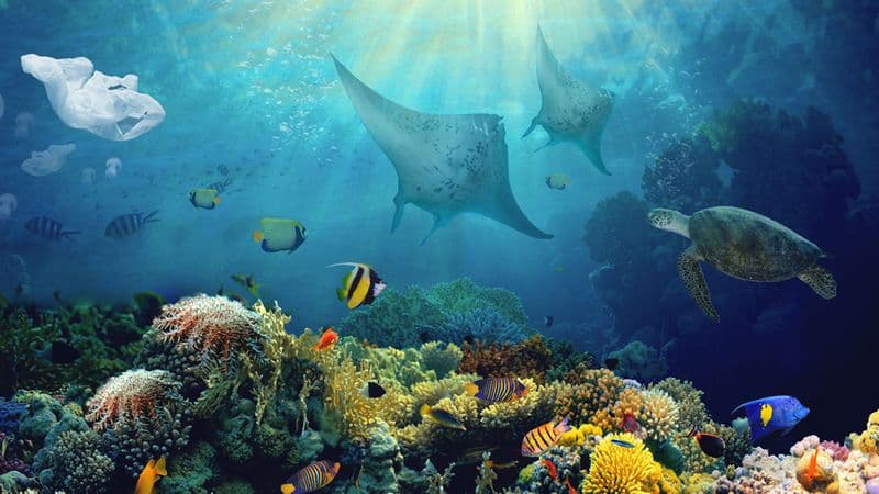 A Tropical Getaway in Cairns with AI Travel