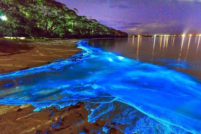 Luminous Lagoon