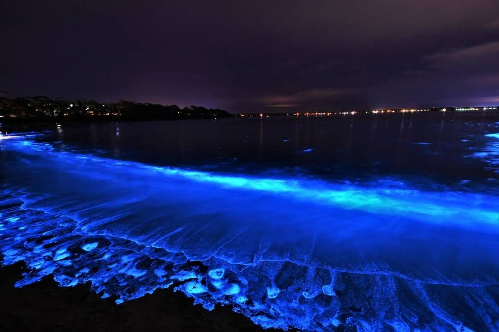 Jervis Bay