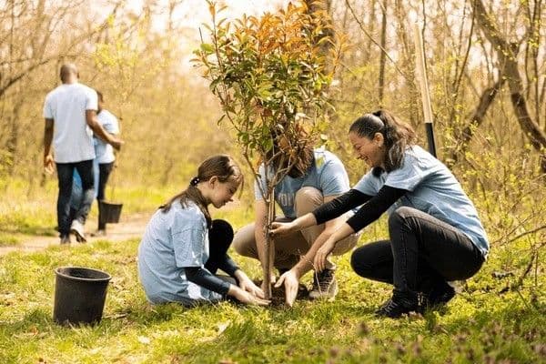 Take Part In A Community Activity