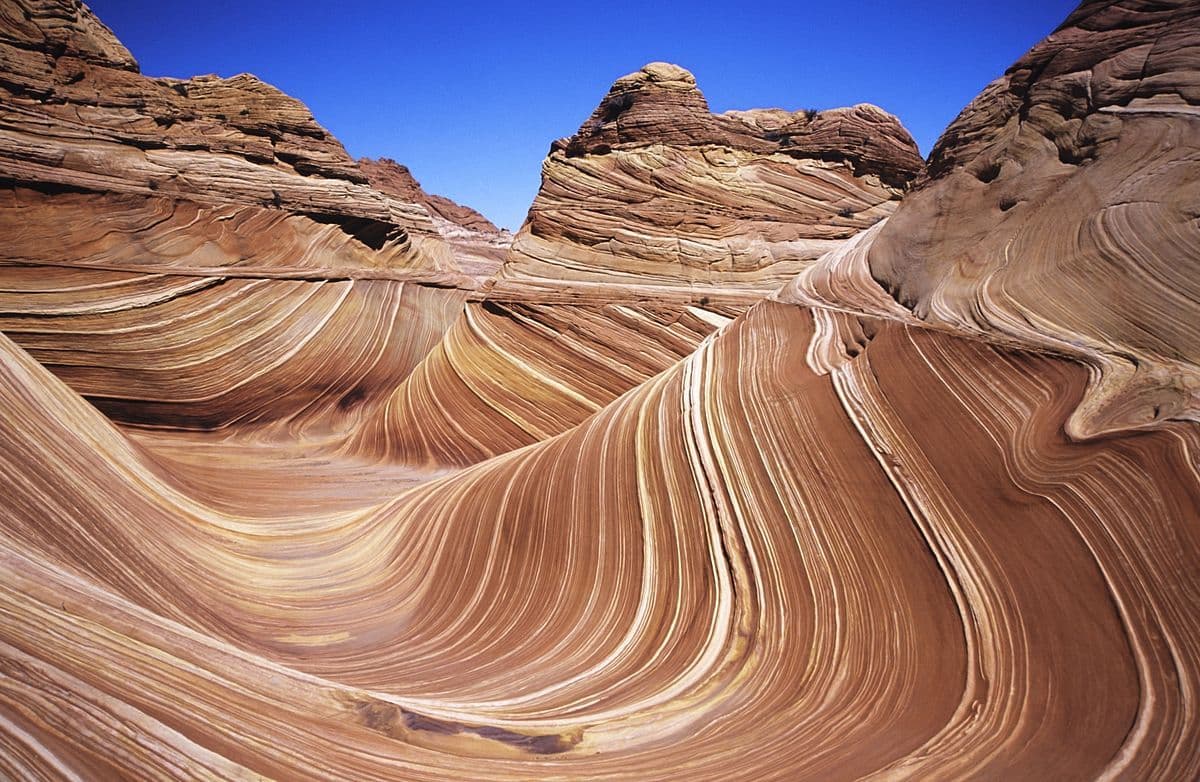The Wave, USA: Nature’s Painted Canvas