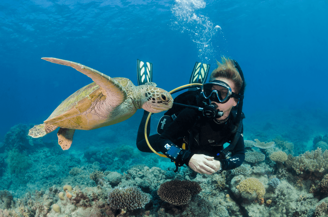 Top Tours & Activities At The Great Barrier Reef