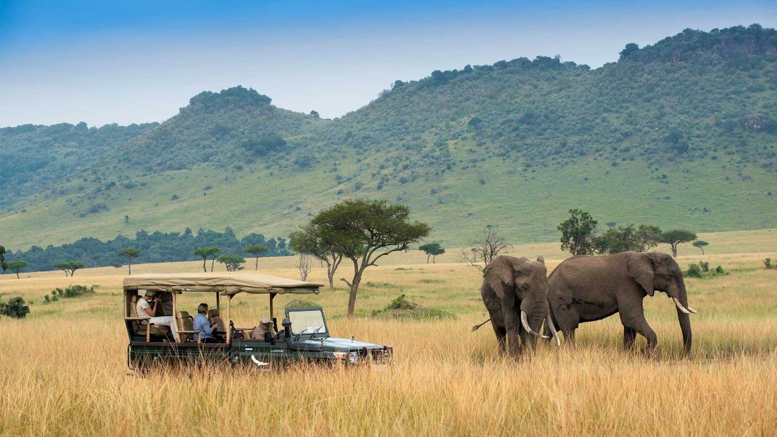 Maasai Mara National Reserve, Kenya