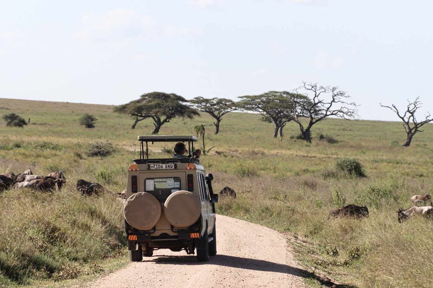 Serengeti National Park, Tanzania