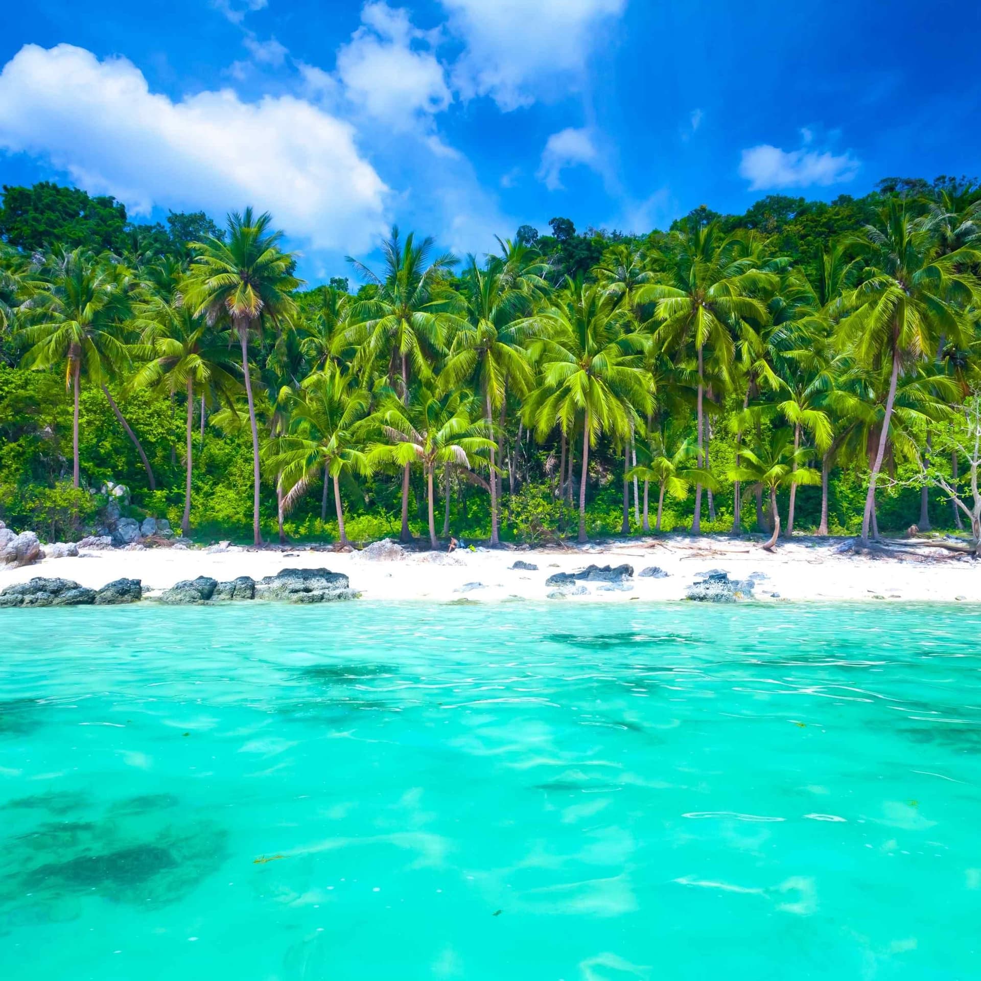 5 Days in Koh Samui!