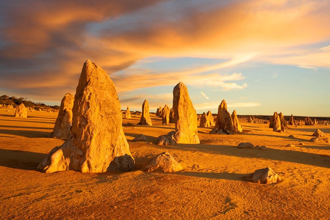What To Do At The Pinnacles Desert