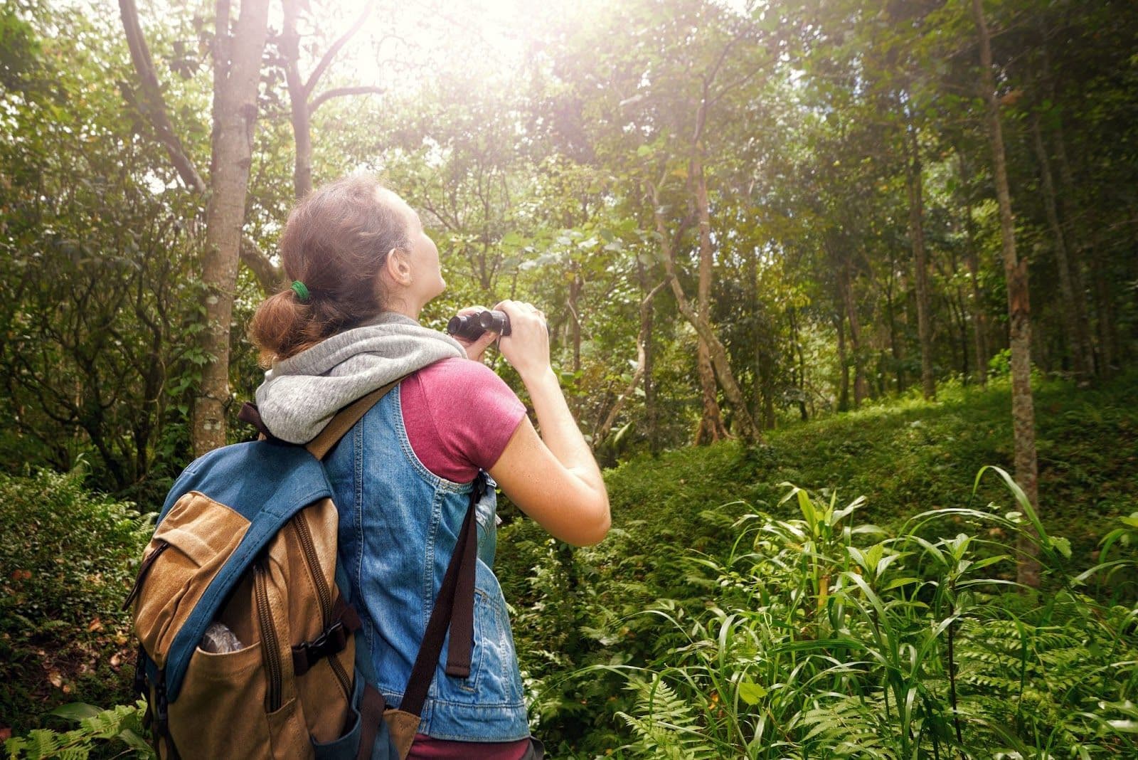 The Growing Appeal Of Ecotourism In Australia