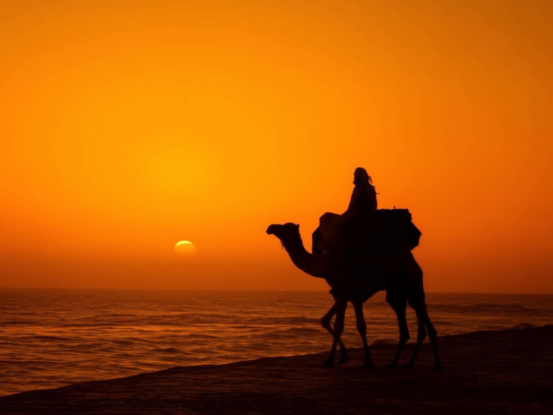 3 Days in Djerba