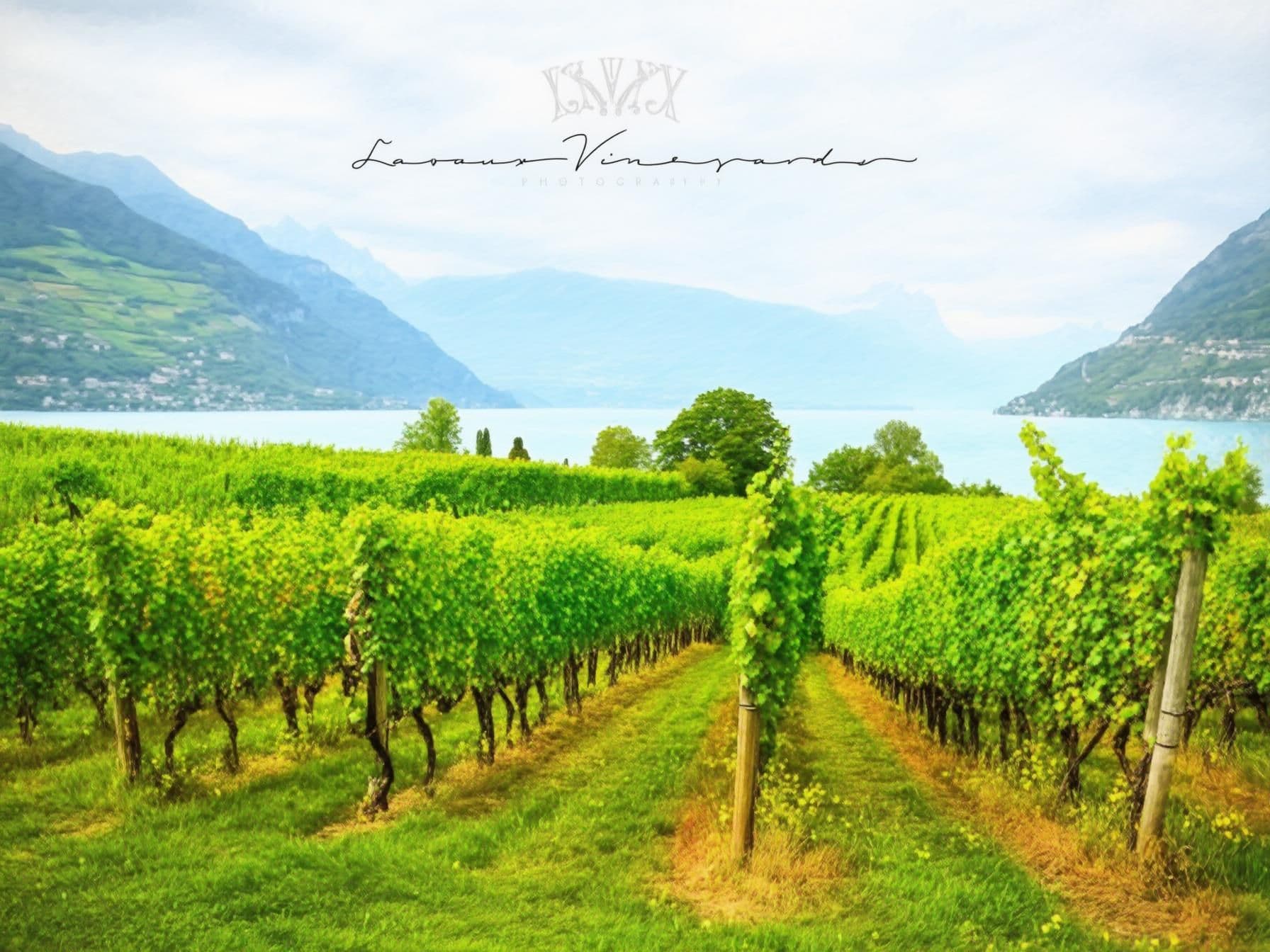 3 Days in Vevey