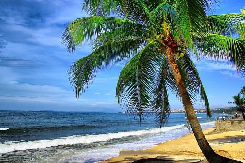 Phan Thiet Travel Guide - Best time to visit - Booked ai