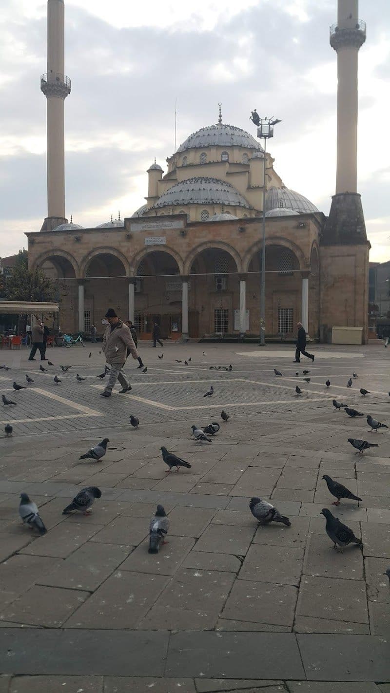 Holiday in Duzce, Turkey - Booked ai